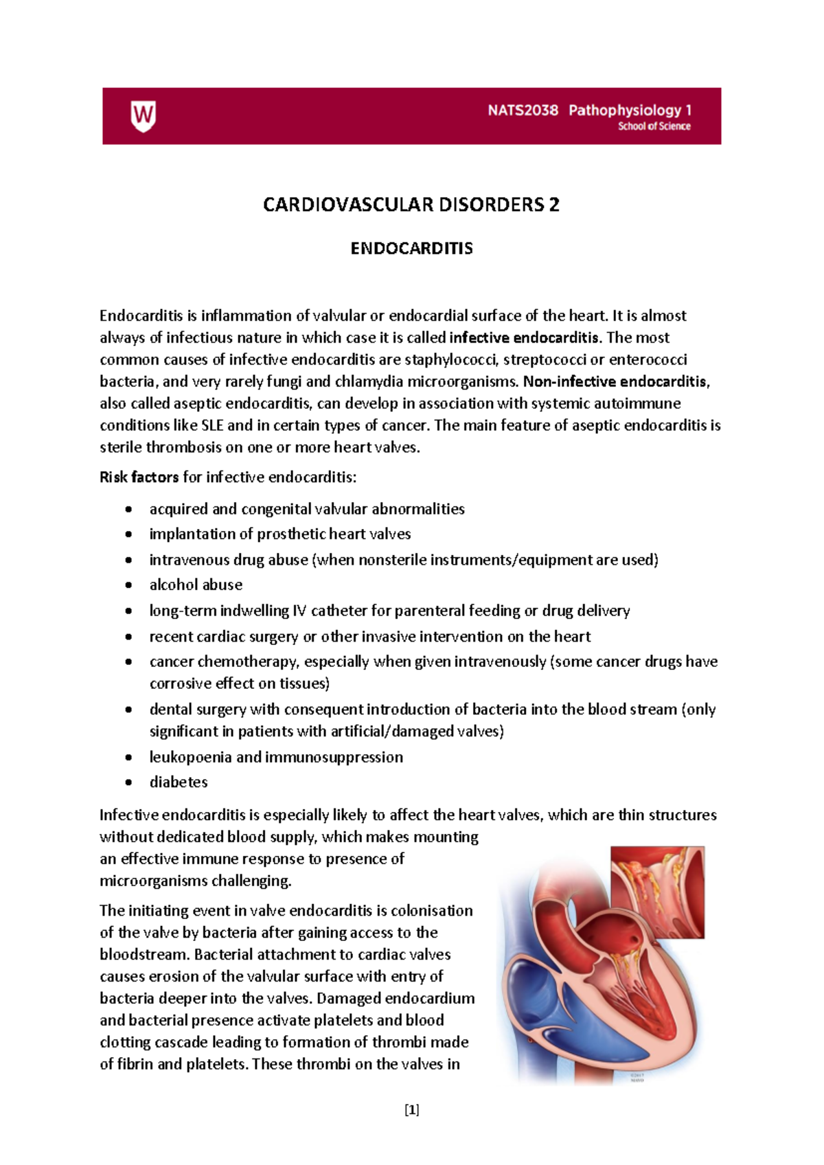 Cardiovascular disorders 2 notes - CARDIOVASCULAR DISORDERS 2 ...