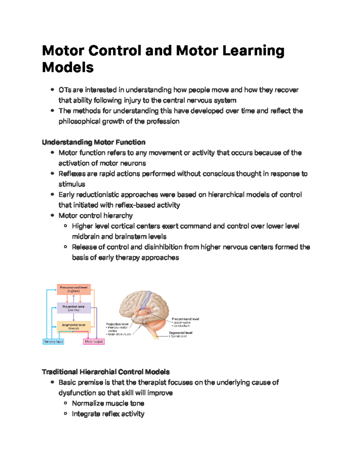 Motor Control and Motor Learning Models M o to r C o n t ro l a n d M