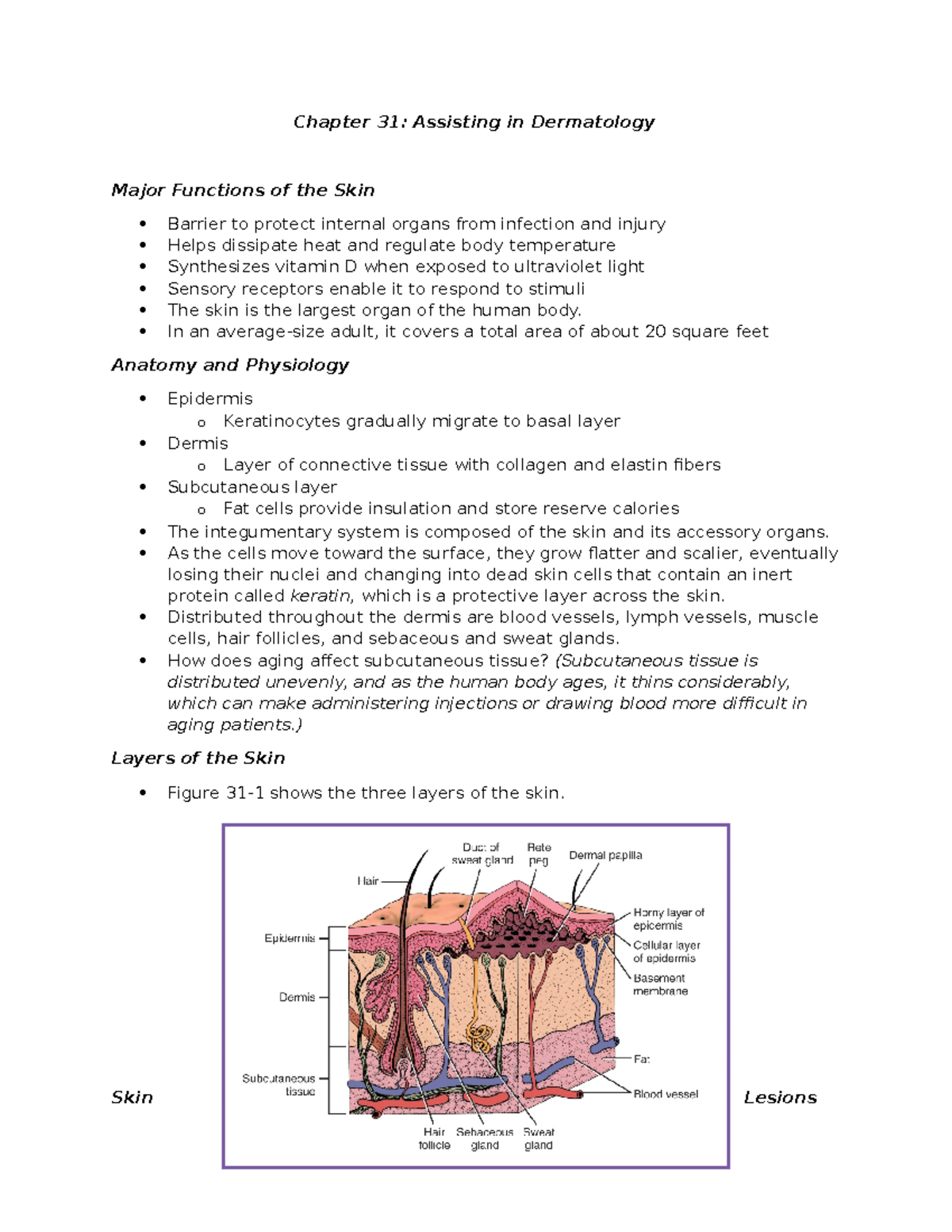 Chapter 31 - Dermatology - Chapter 31: Assisting in Dermatology Major ...