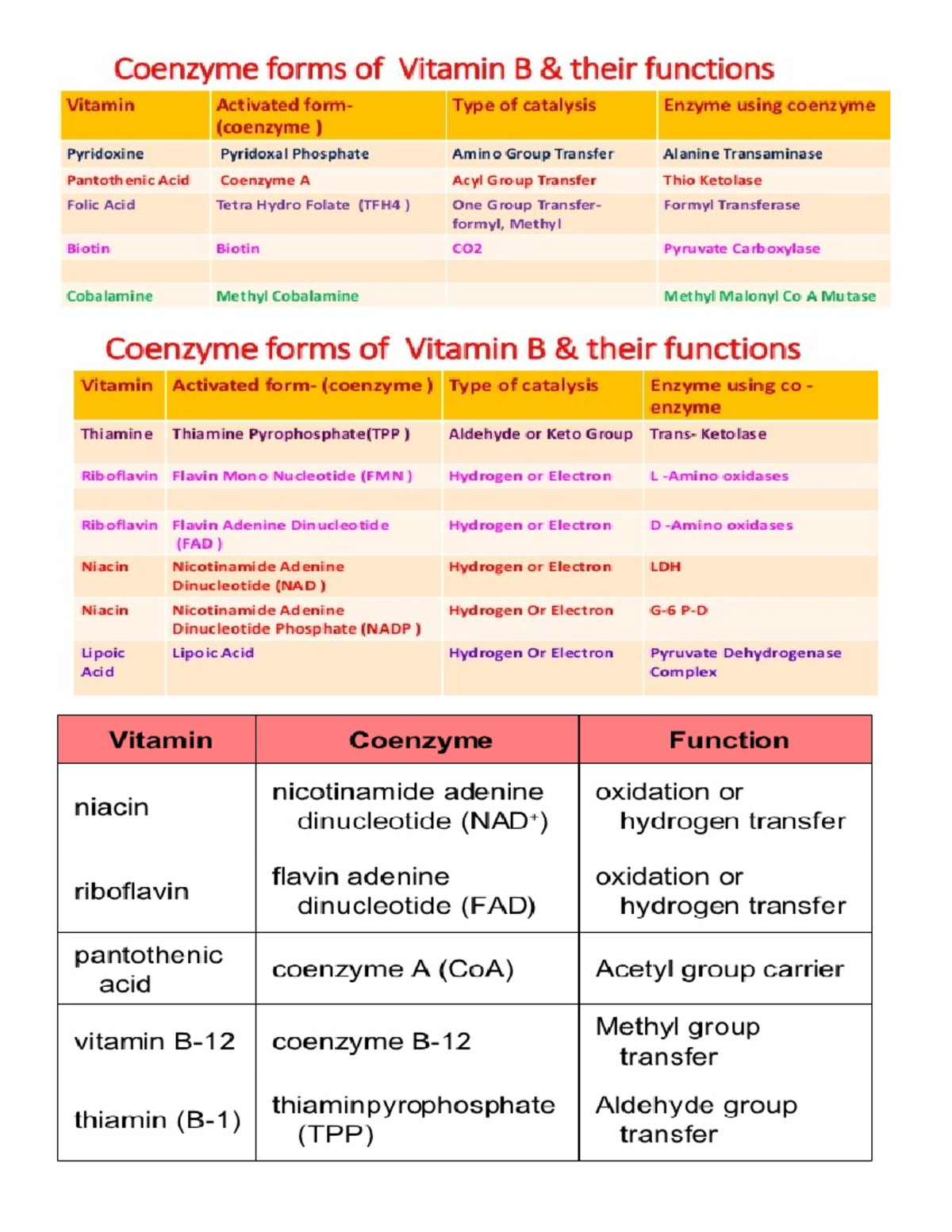 Enzymes And Coenzymes - Lecture Notes 1-4 - Coenzvme Forms Of Vitamin B ...