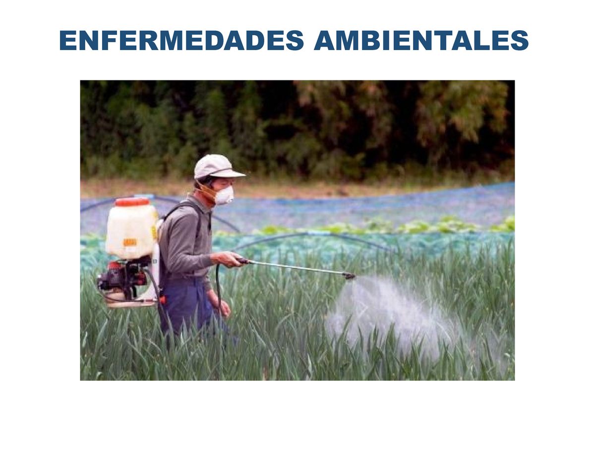 Enfermedades Ambientales Enfermedades Ambientales Ocasionadas Por Factores Del Medio Ambiente 9185