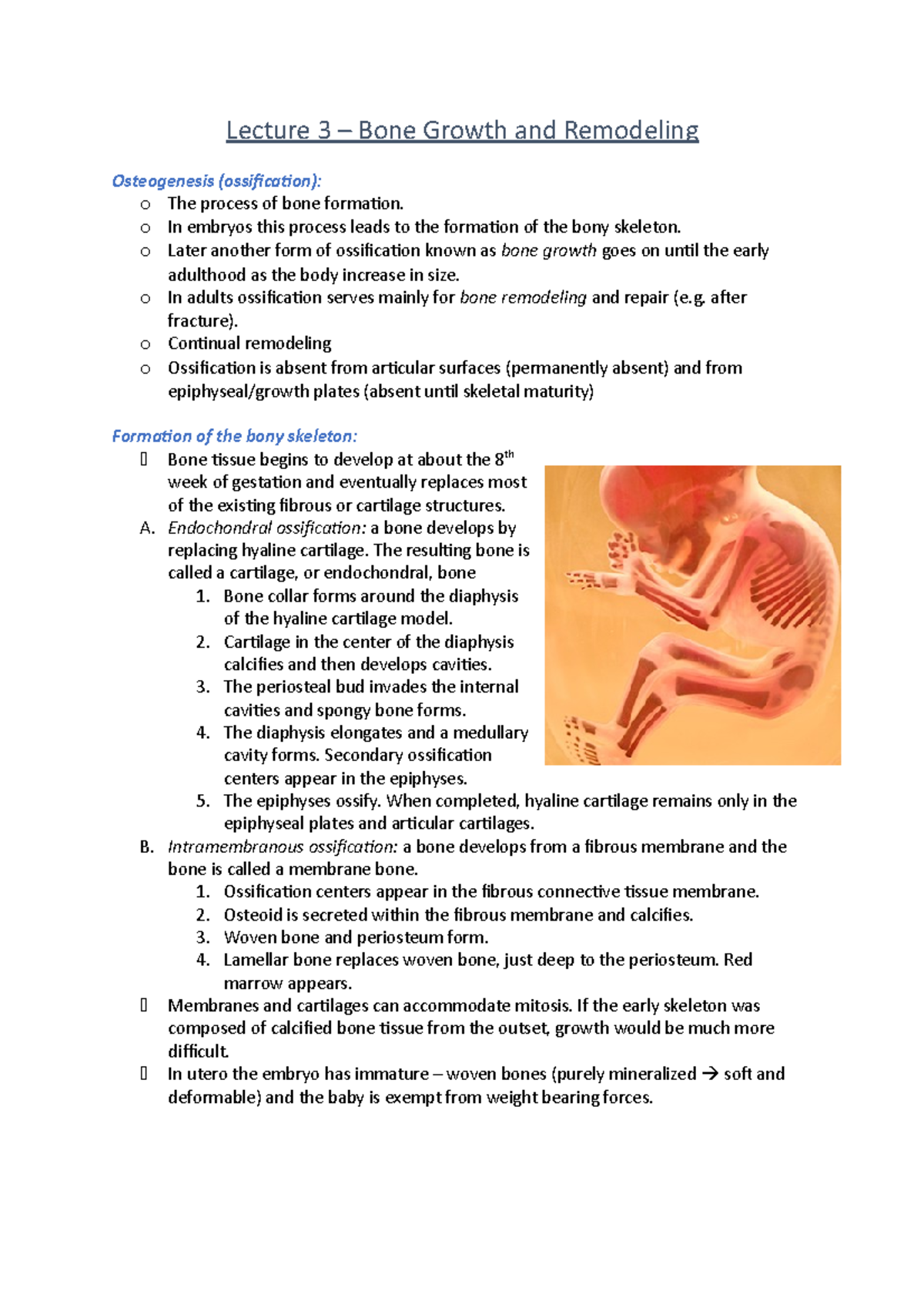 Lecture 3 – Bone Growth and Remodeling Biology Diagrams
