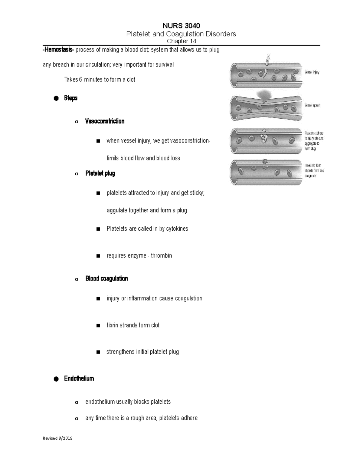 Platelets (Lecture 5) Hemostasis process of making a blood clot
