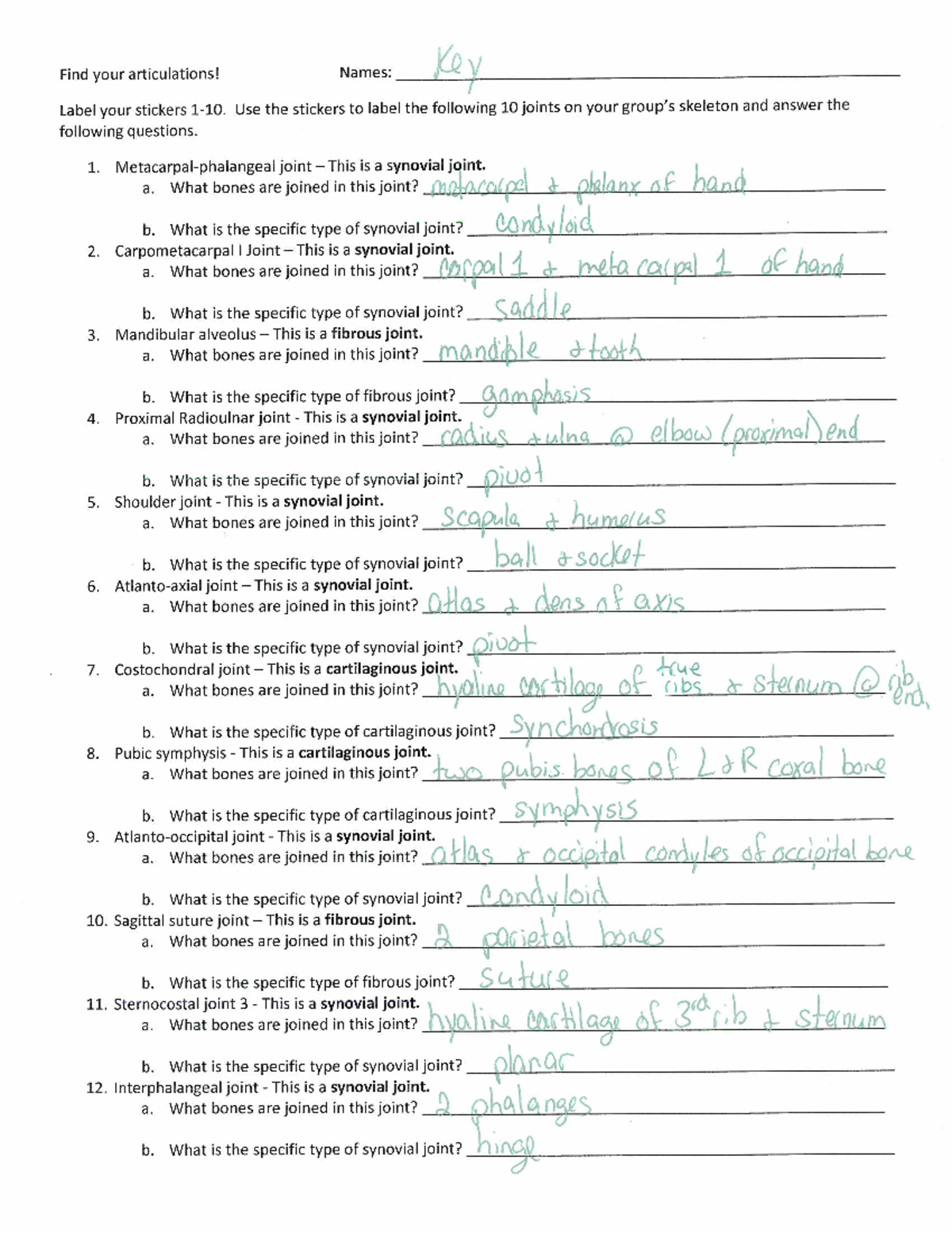 Articulations activity 1 answers - fa 16 - BIO 244 - Studocu