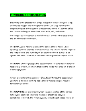 The design of the respiratory system - The lung provides the tissues of ...