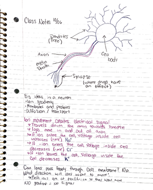 Chapter 3 notes - BIOL 1013 - Studocu