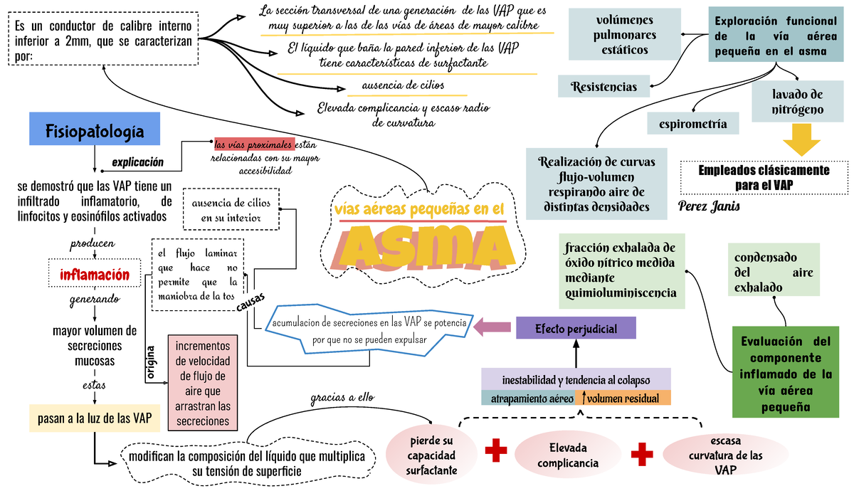 Asma Mapa Conceptual Mapapapa 1296