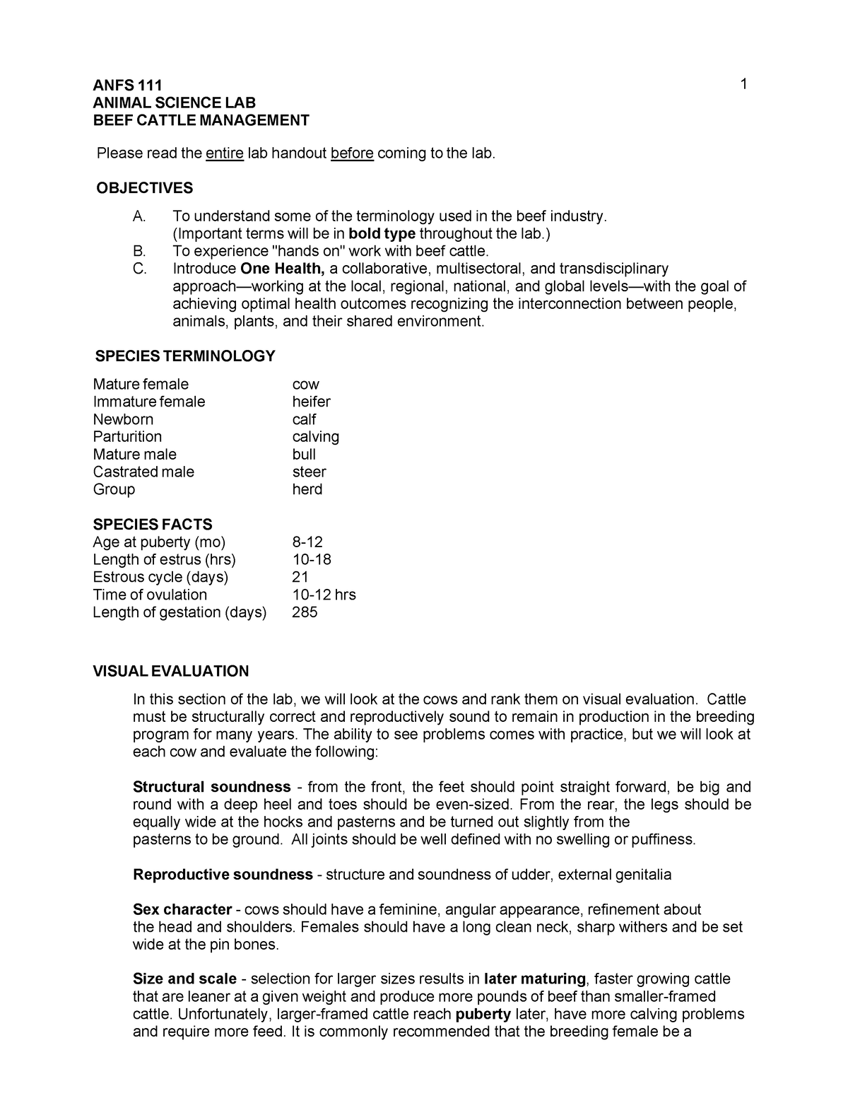 Beef Cattle Lab Handout - ANFS 111 1 ANIMAL SCIENCE LAB BEEF CATTLE ...