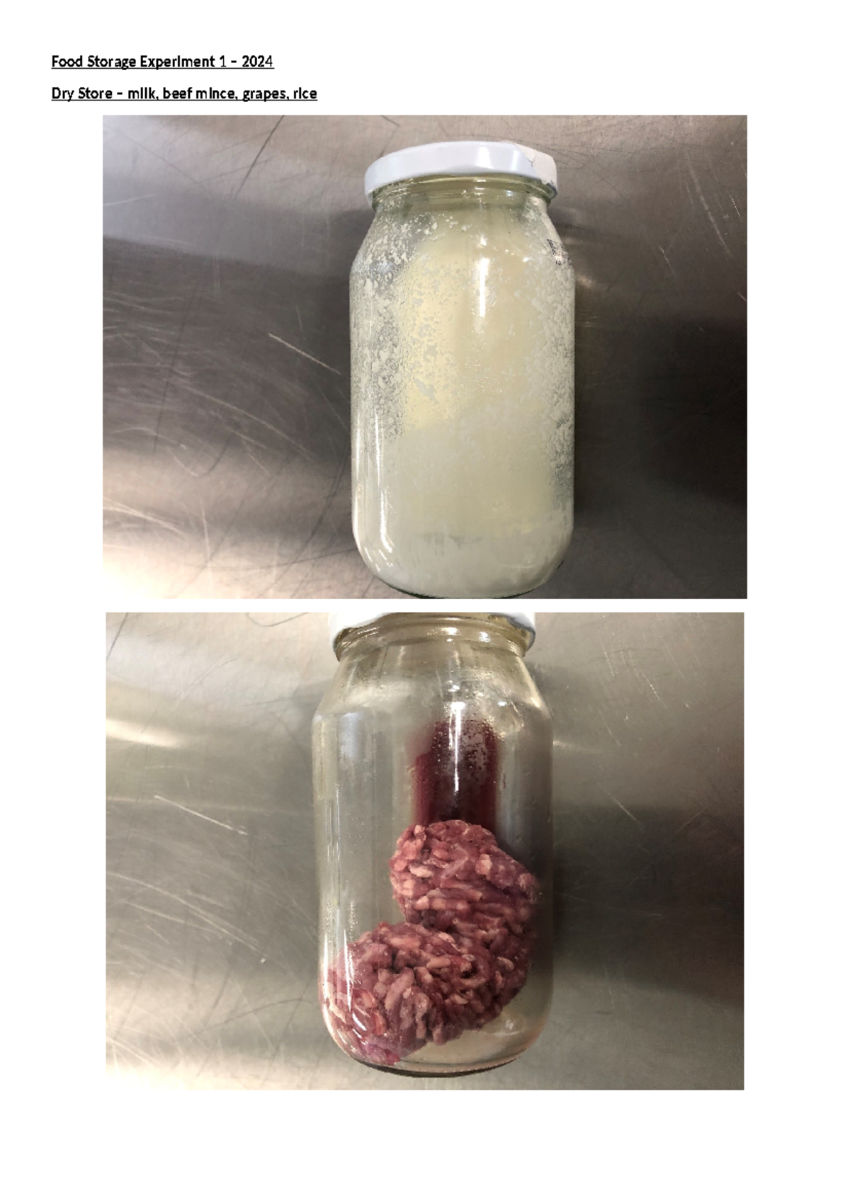 Food Storage Experiment 1 - results - Food Storage Experiment 1 – 2024 ...