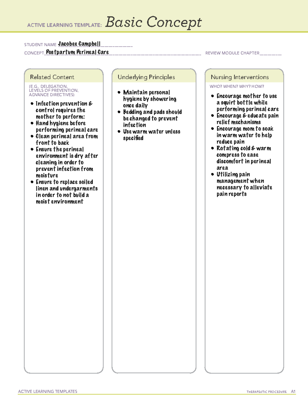 Postpartum Perineal Care ACTIVE LEARNING TEMPLATES THERAPEUTIC 