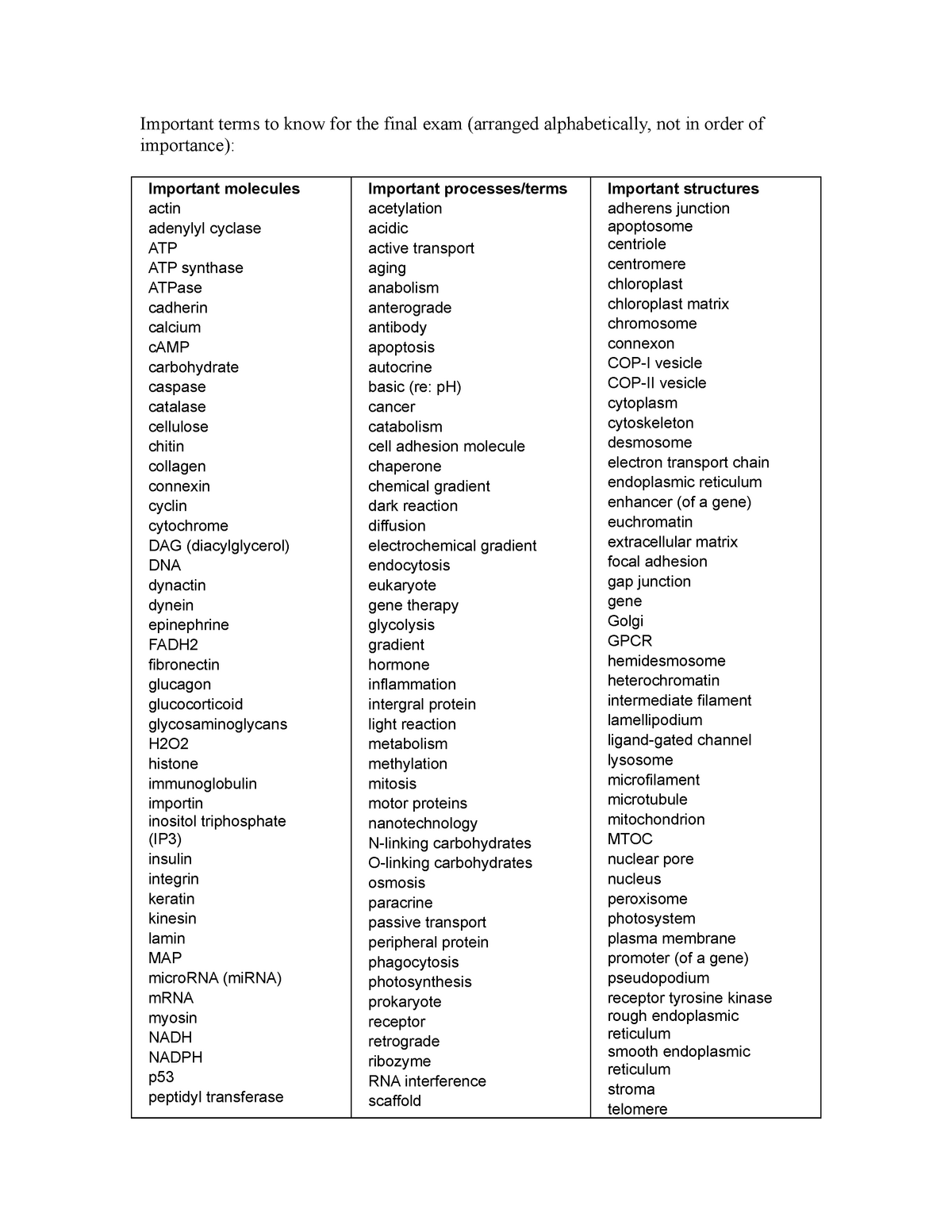 terms to know for the final exam - Studocu