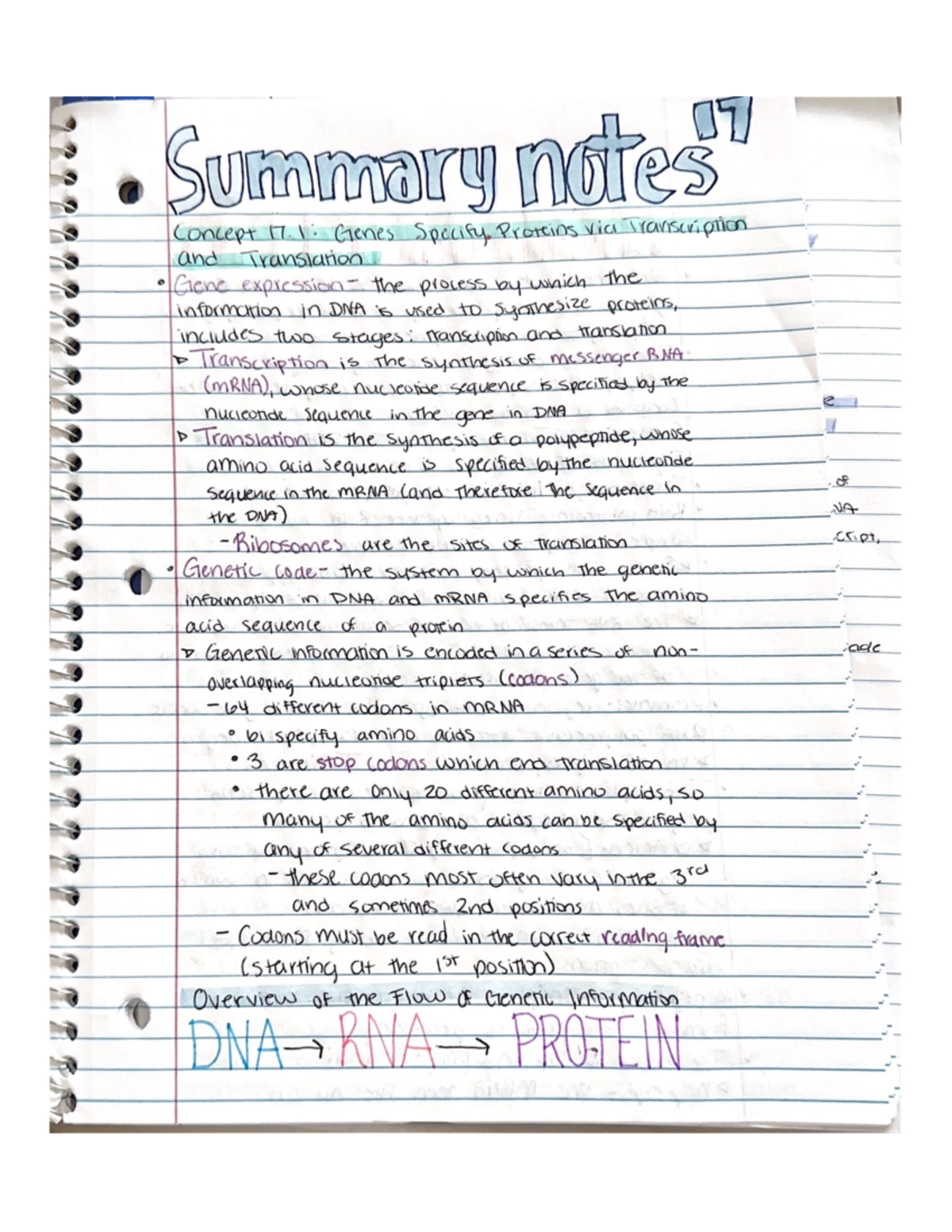 Summary Notes 17 - BSC2010 - Studocu