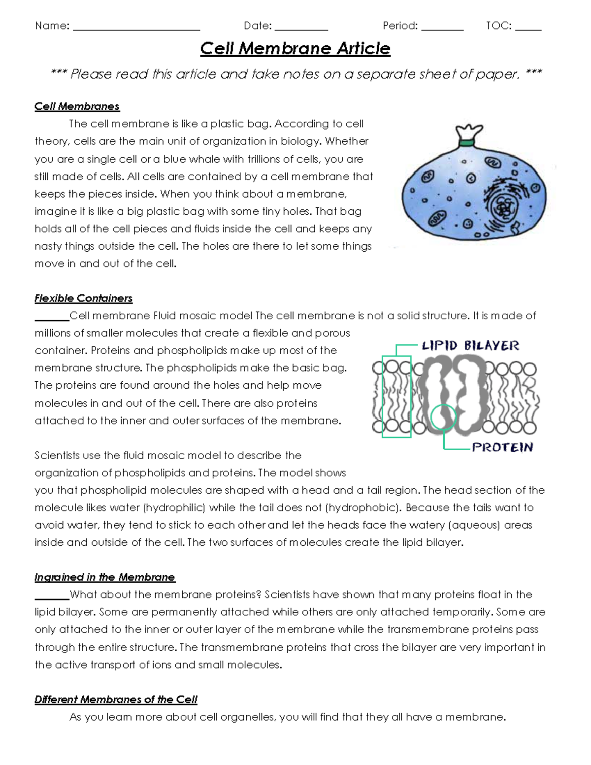 Cell Membrane Article - Name: ________________________ Date ...