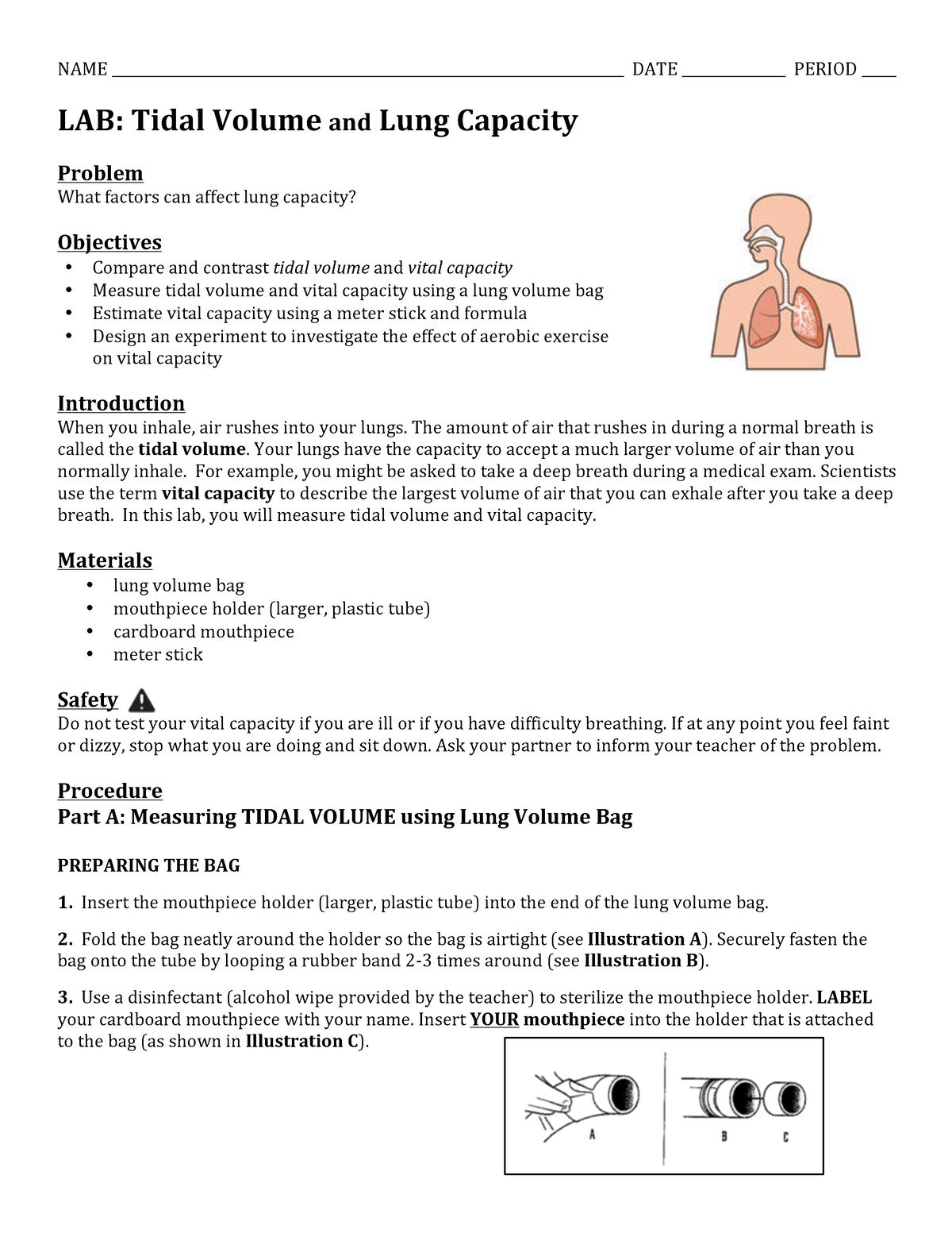 lung-capacity-lab-read-studocu