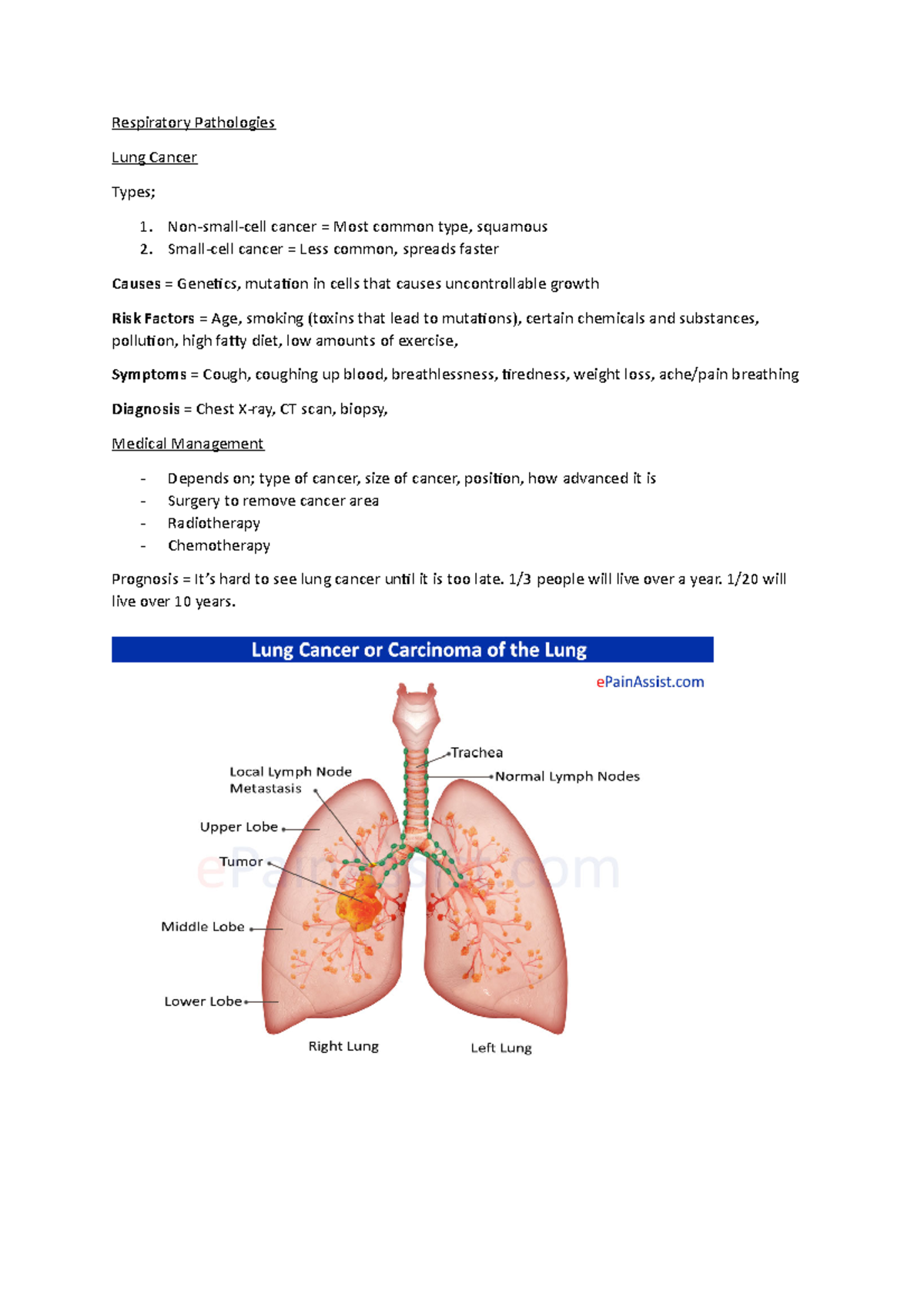 Respiratory Pathology - Lung cancer - Respiratory Pathologies Lung ...