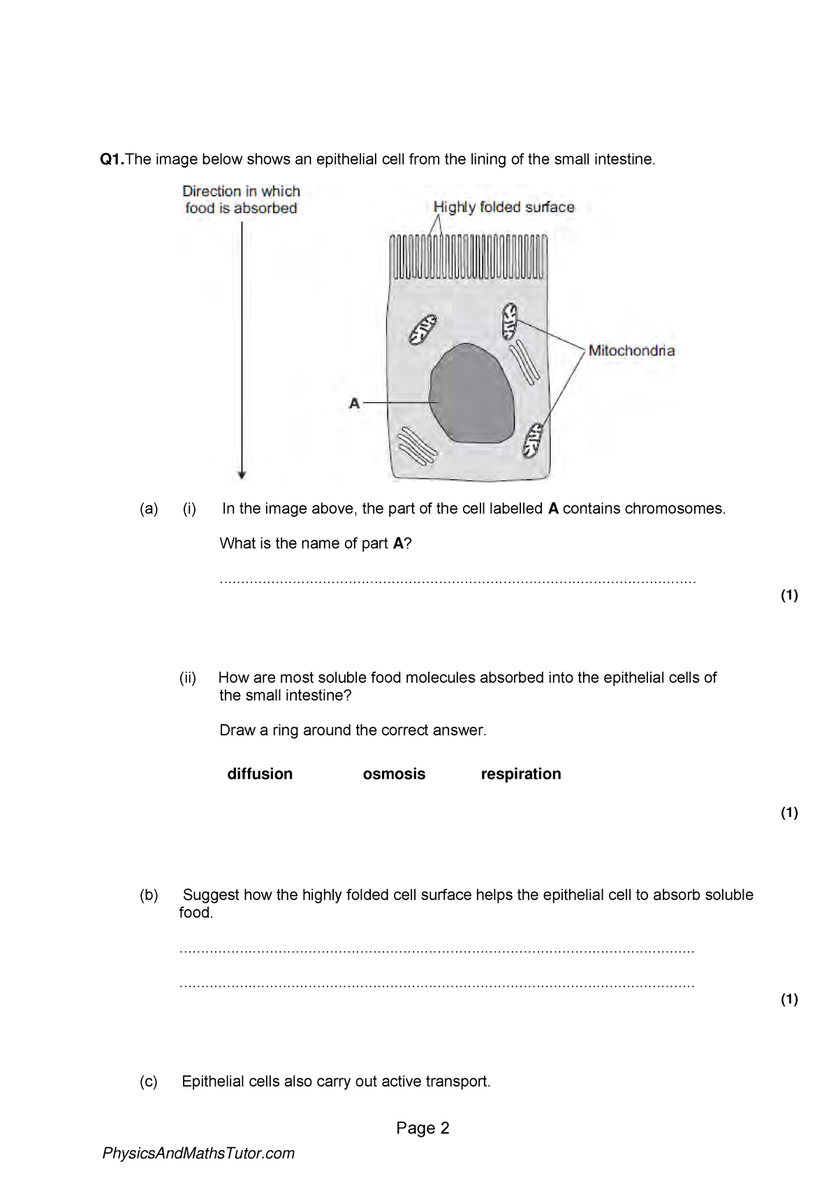 Cell Structure 2 QP - Thank goodness tv - Page 2 Q1. The image below ...