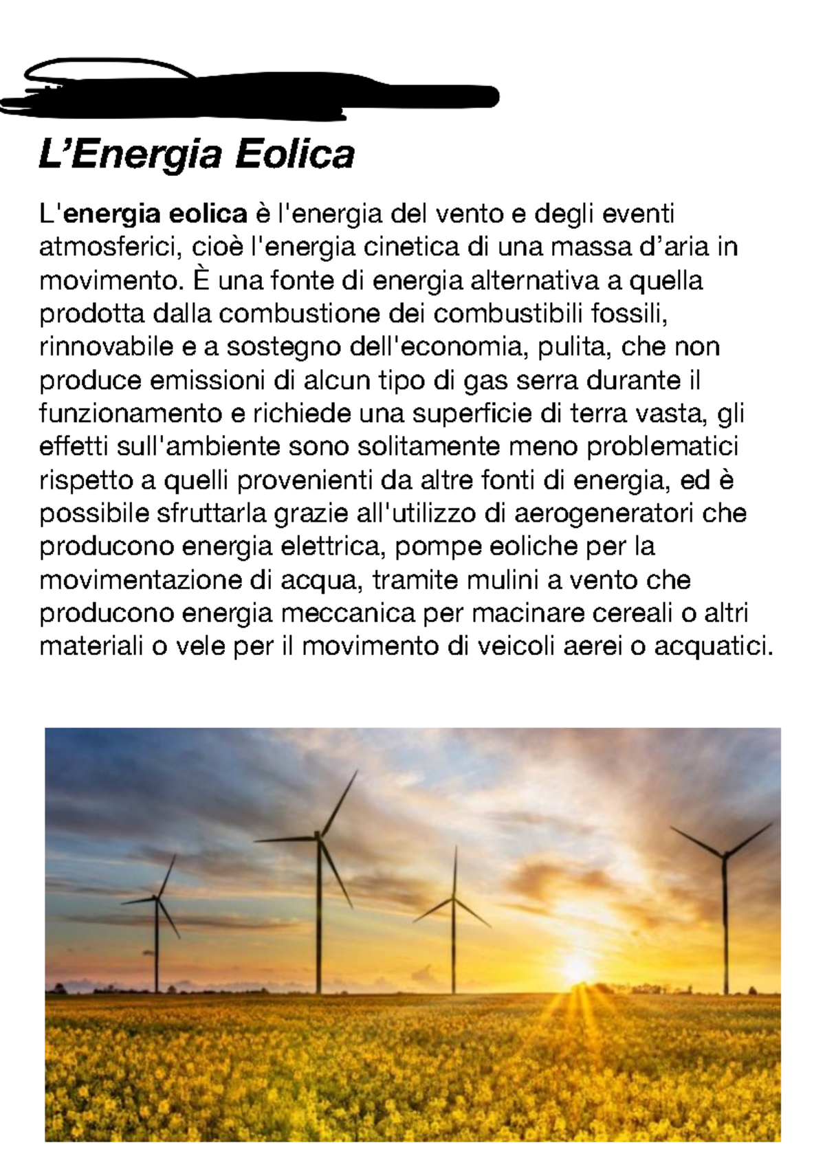 Ricerca  Energia Eólica