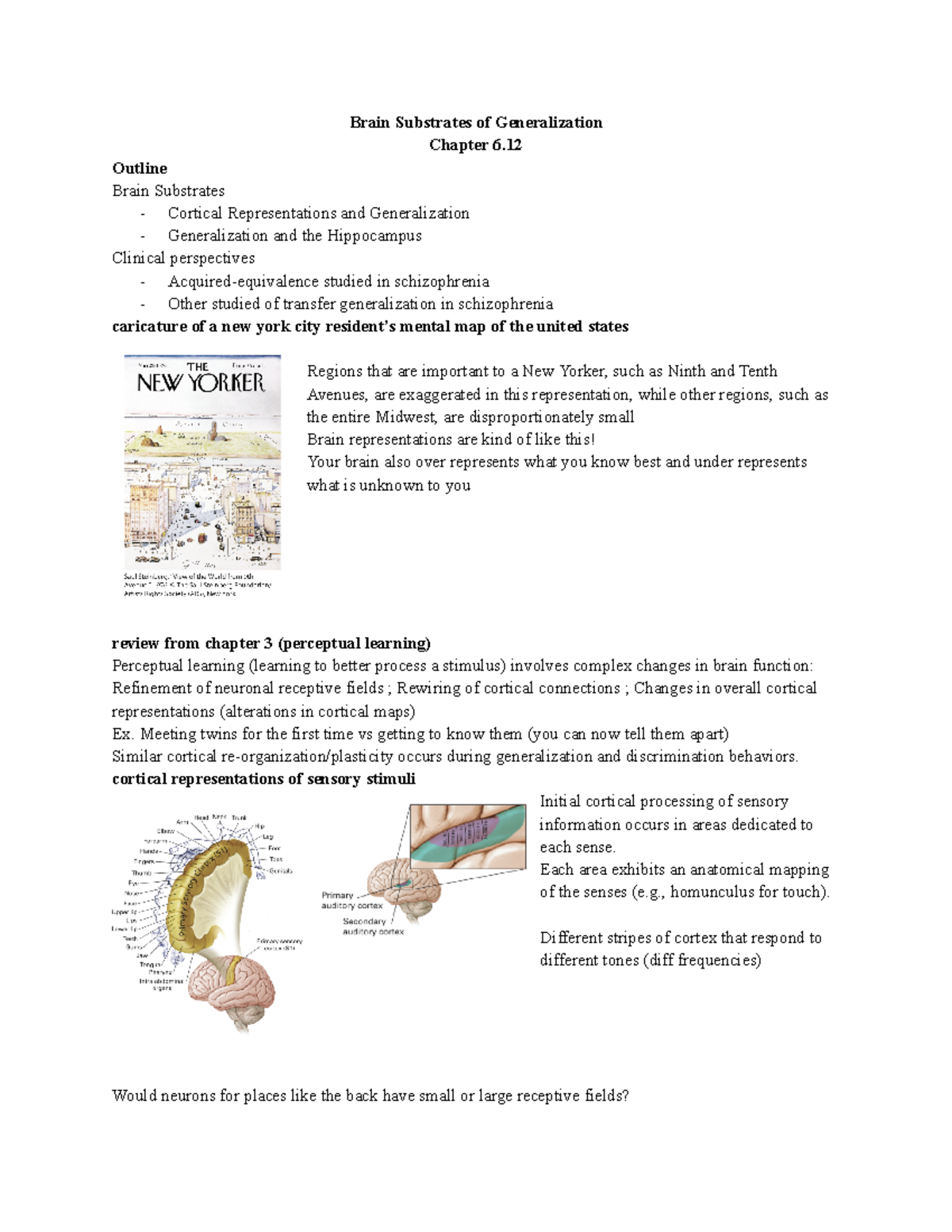 Brain Substrates of Generalization - Brain Substrates of Generalization ...