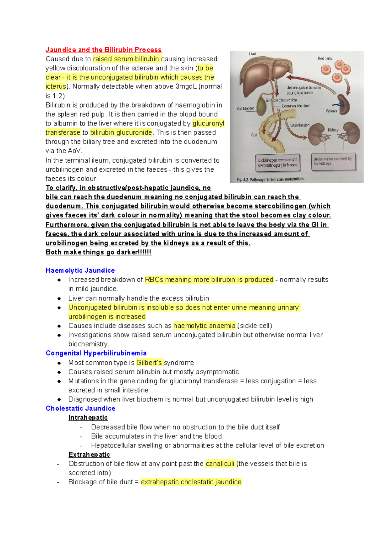 Overview of Liver Disease Jaundice and the Bilirubin Process Caused due to raised serum