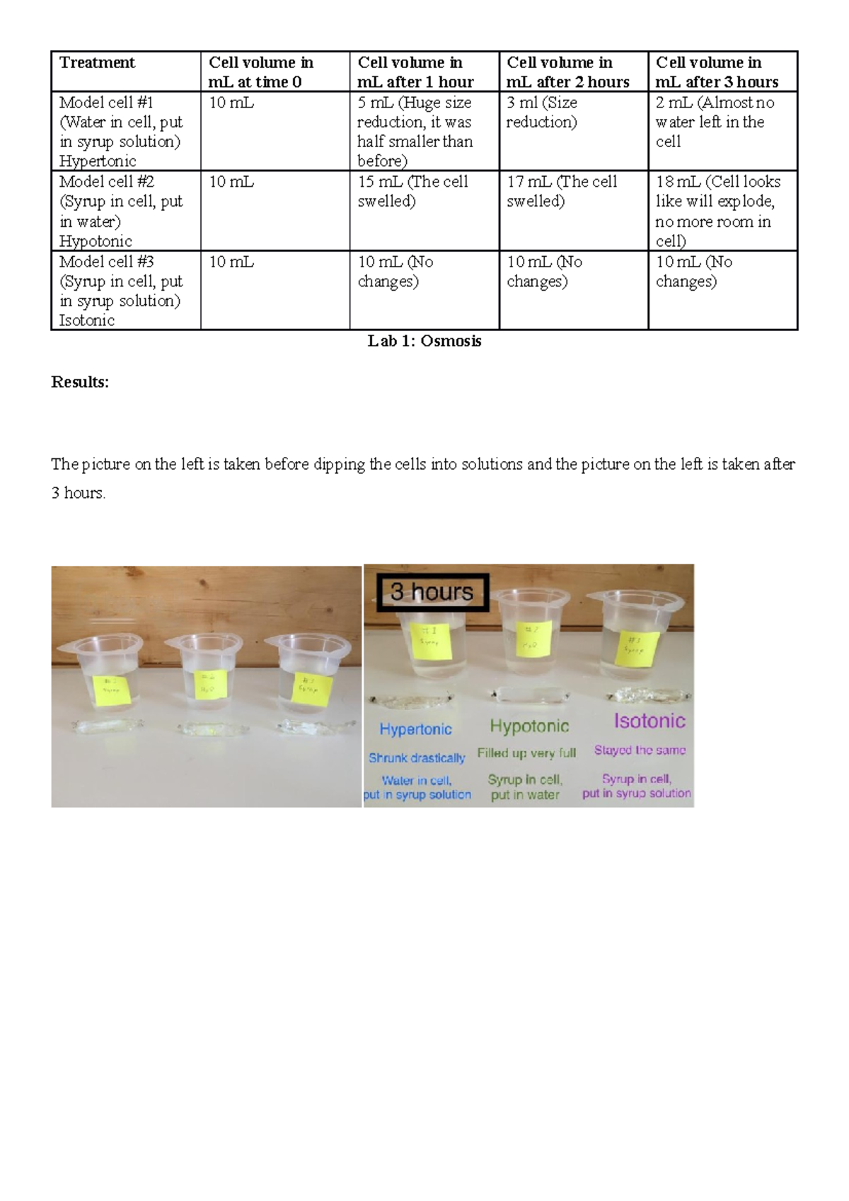 Lab 1 Osmosis Biol 204 Lab 1 Treatment Cell Volume In Ml At Time 0