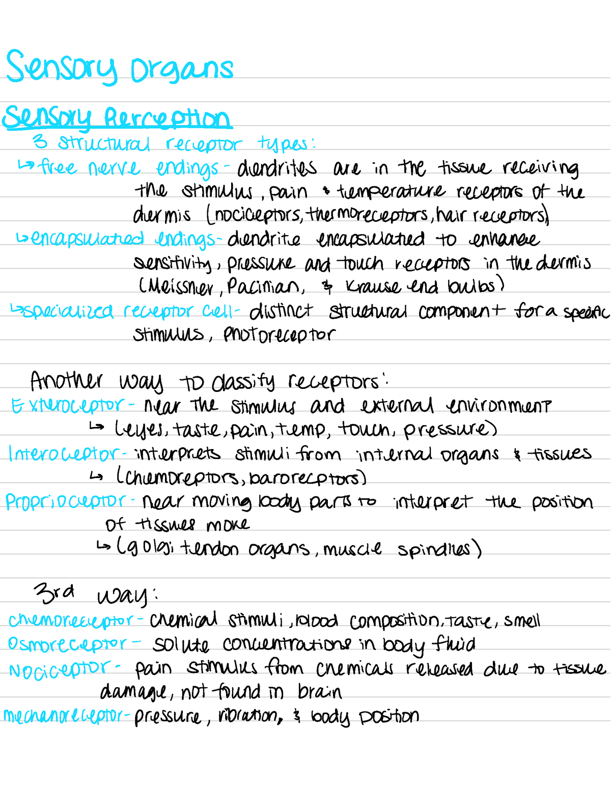 anatomy-physiology-1-sensory-organs-sensory-organs