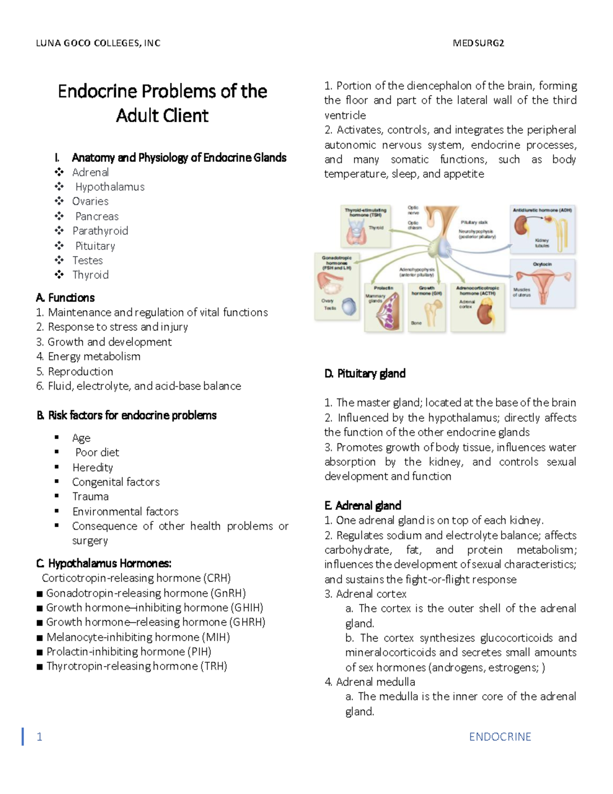 Inbound 3693863251191115581 - Endocrine Problems of the Adult Client I ...