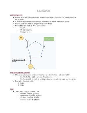 CELL Cycle Regulation - CELL CYCLE REGULATION CONTROL OF THE CELL CYCLE ...