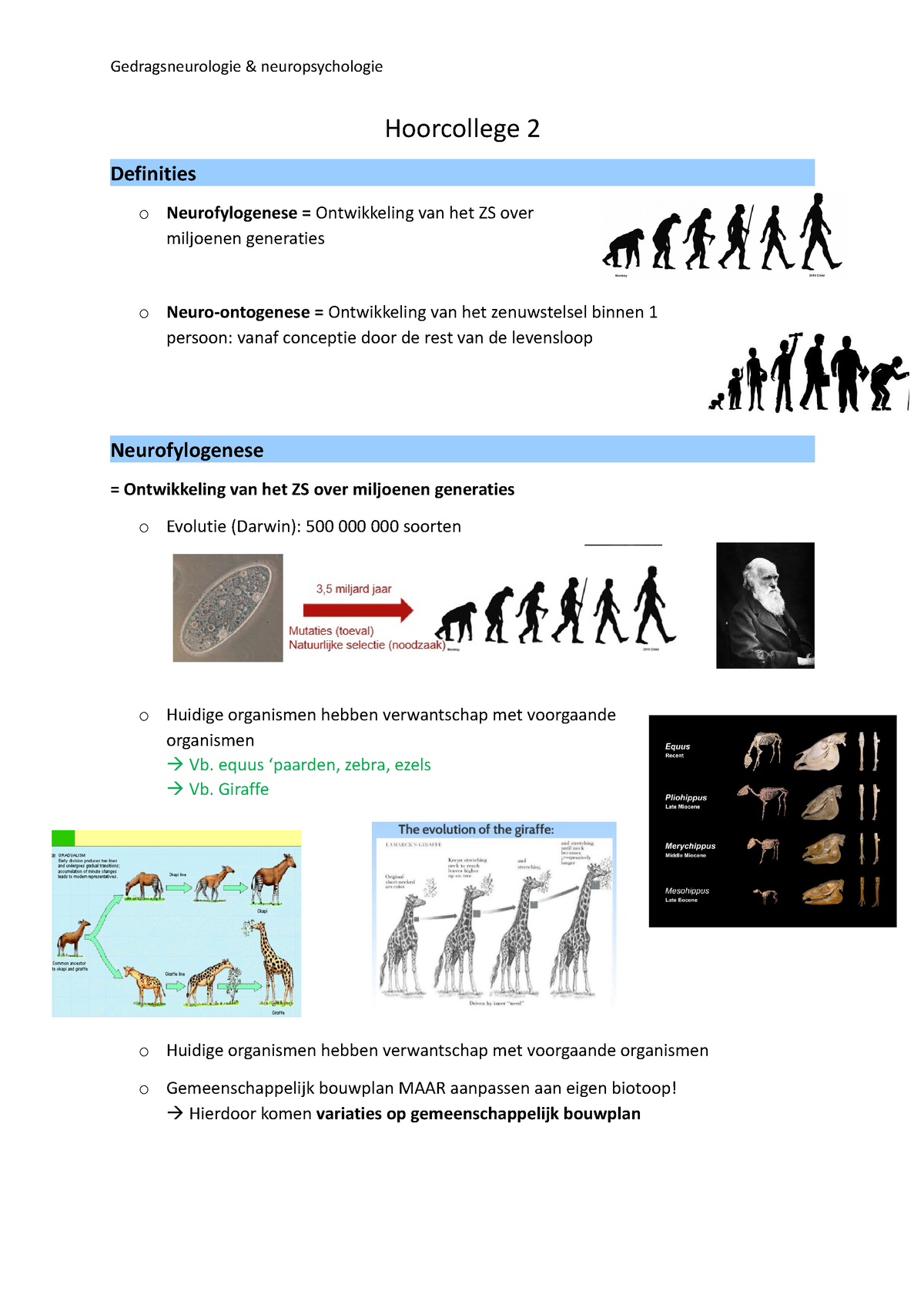 Hoorcollege 2 Samenvatting (klaar) - Hoorcollege 2 Definities O ...