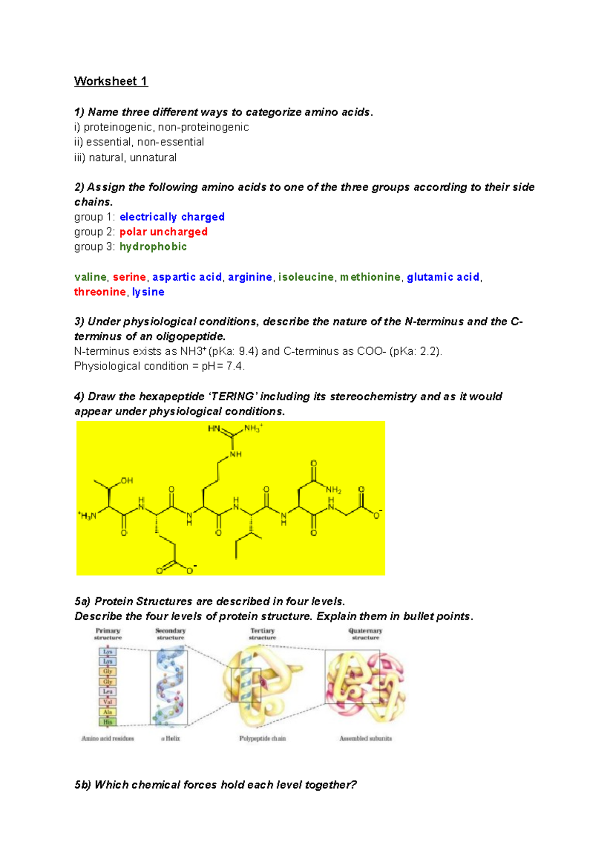 structure-biology-worksheets-questions-answers-worksheet-1-1-name