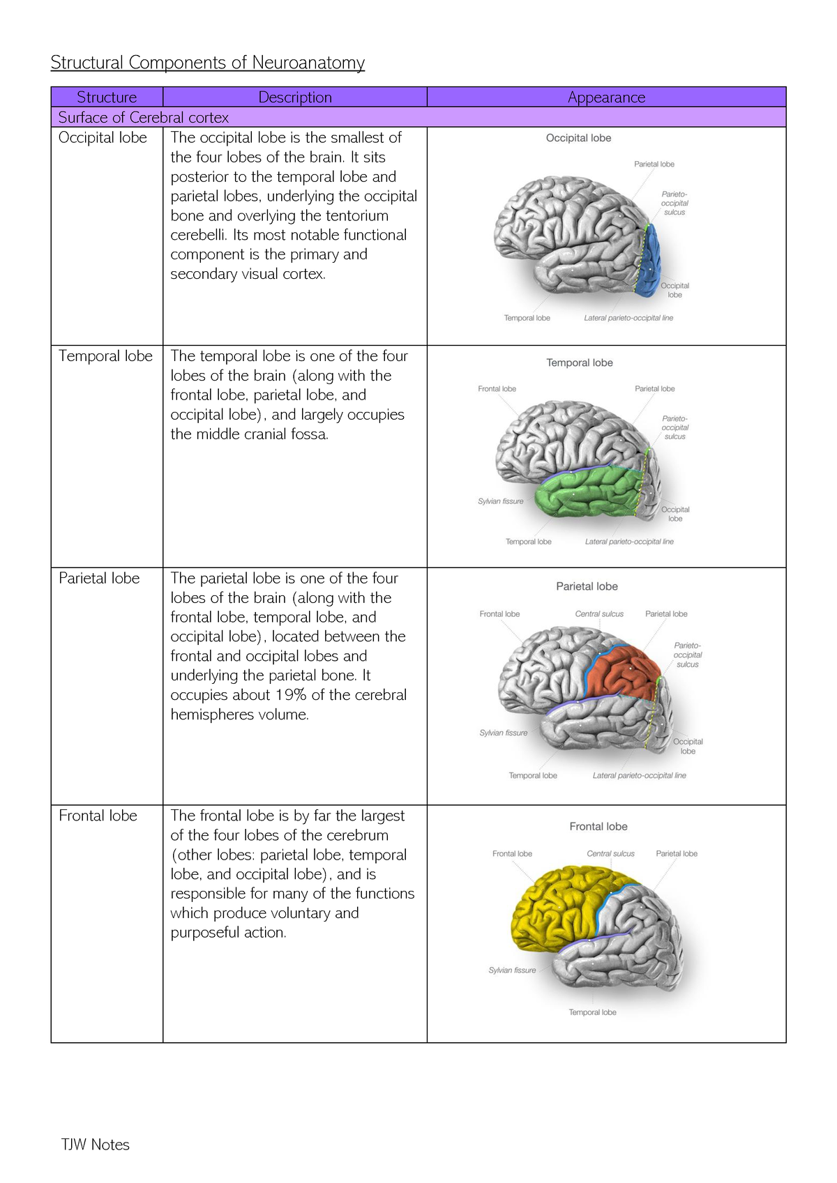 Neuroanatomy Practical Structures Notes (2)-1 - Structural Components ...