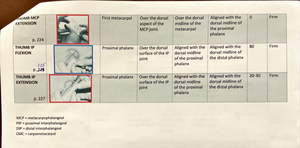 OTHA+1305+Midterm+Exam+Review+2022 copy - OTHA 1305 – Fall 2022 Midterm ...