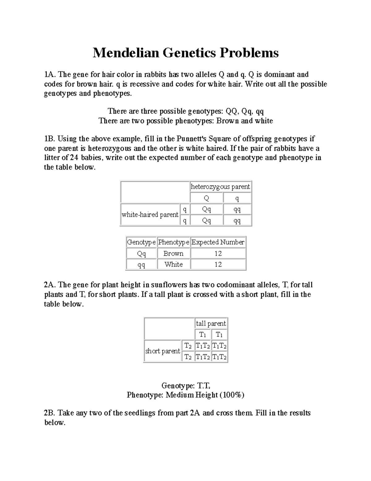 Mendelian Problems KEY Warning TT undefined function 32