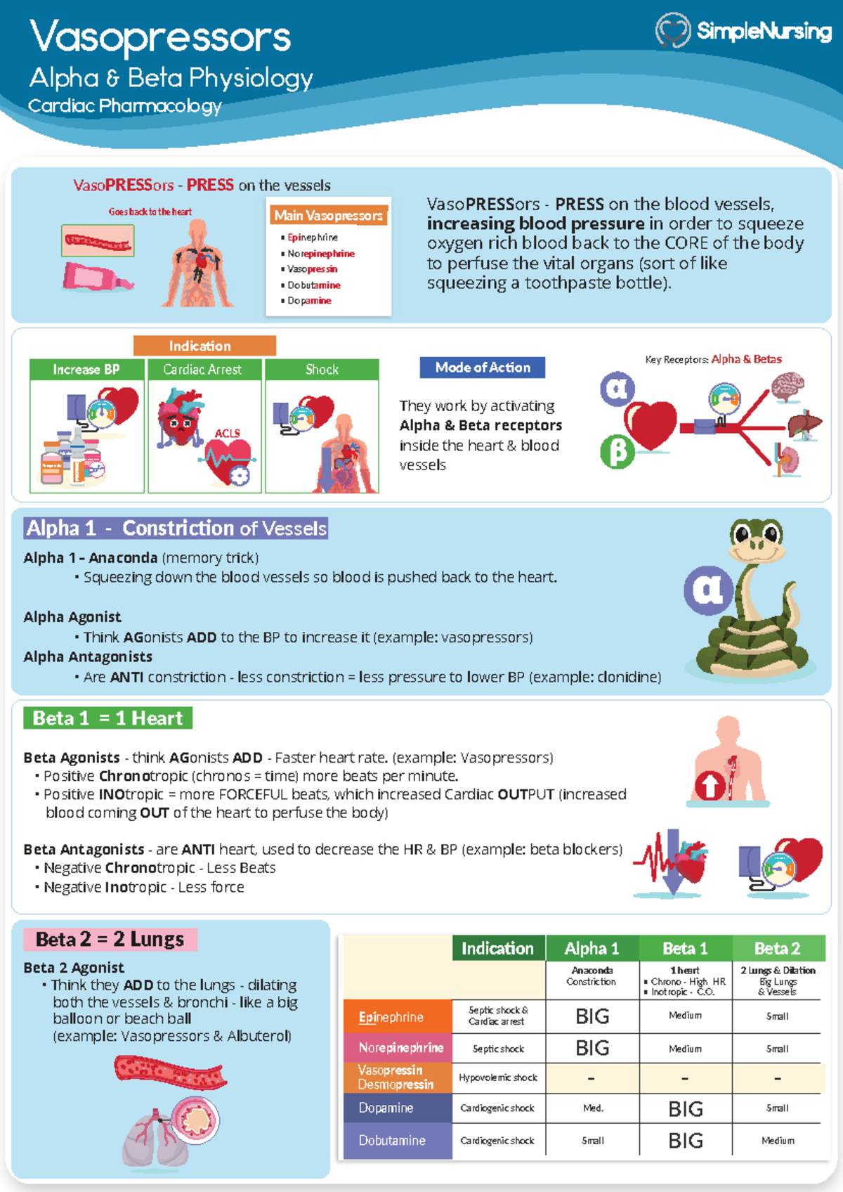 Vasopressors - Simple Nursing - Vasopressors Alpha & Beta Physiology 