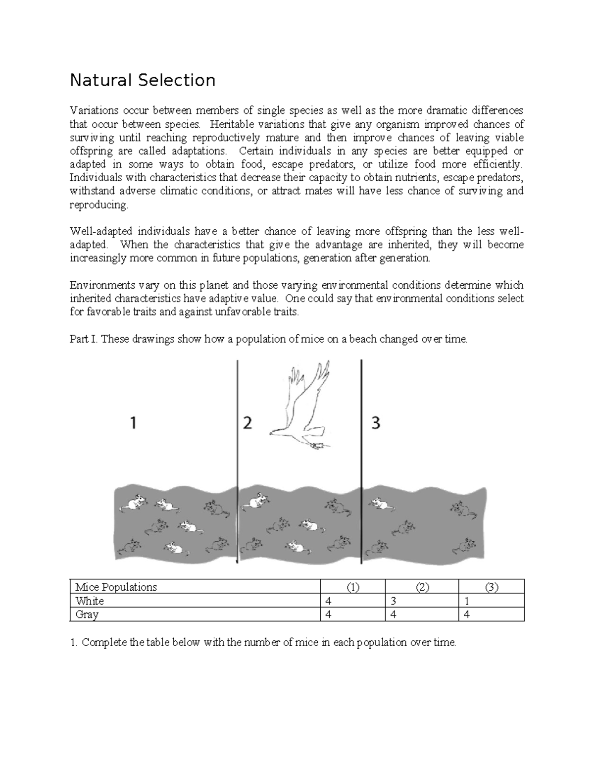 Evolution Natural Selection Lab version C Natural Selection Variations occur between members