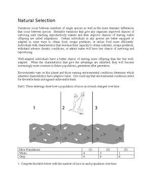 Recitation Assignment 1.chap1 - Hawaii Pacific University General ...