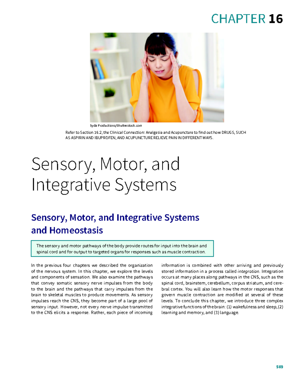Chapter 16 Anatomy 569 CHAPTER 16 Sensory, Motor, and Integrative