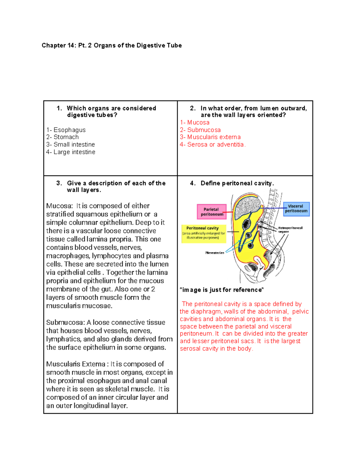 Chapter 14 Digestive part 2 - Chapter 14: Pt. 2 Organs of the Digestive ...