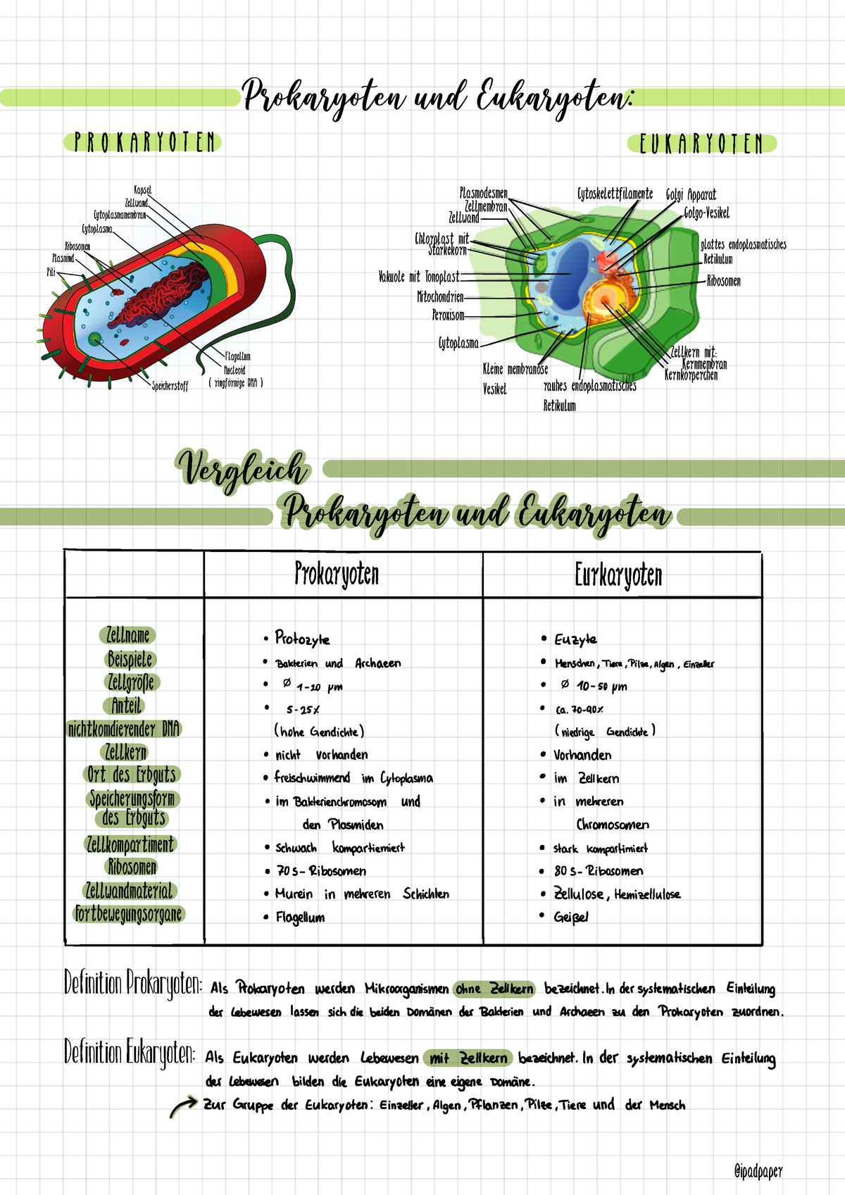 Bio Eukaryoten Prokaryoten Kapsel Zellwand Cytoplasmamembran Cytoplasma Ribosomen Plasmind