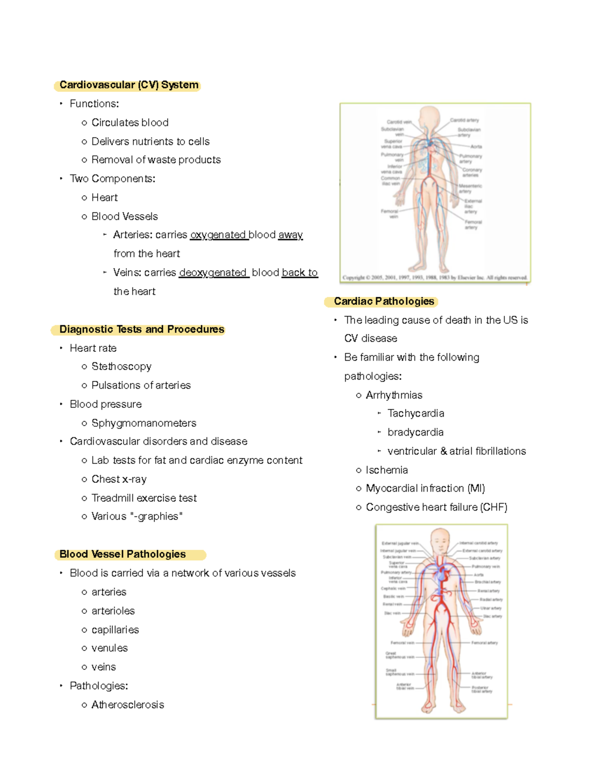 week 4 assignment cardiovascular and lymphatic systems