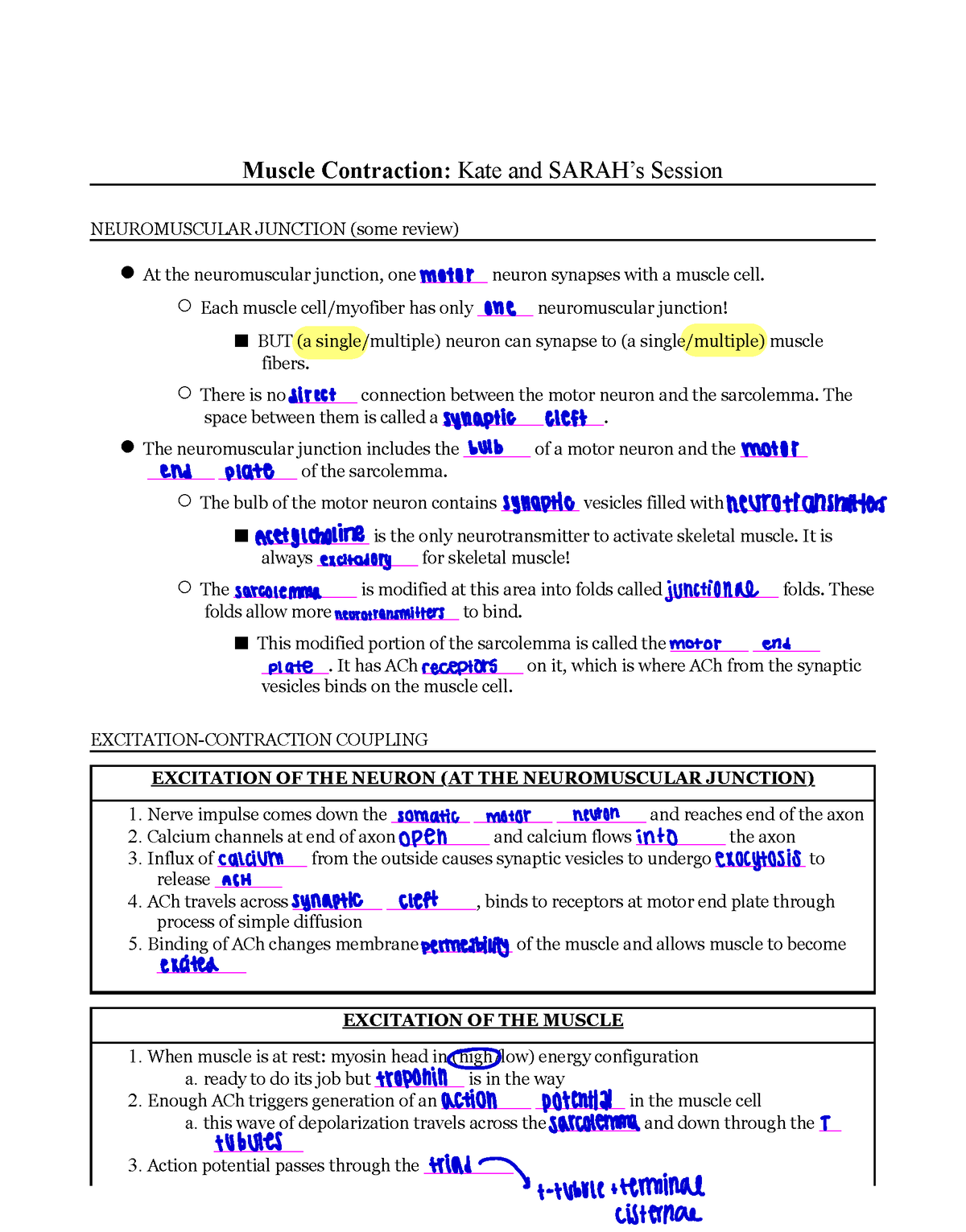 muscle-contraction-worksheet-muscle-contraction-kate-and-sarah-s