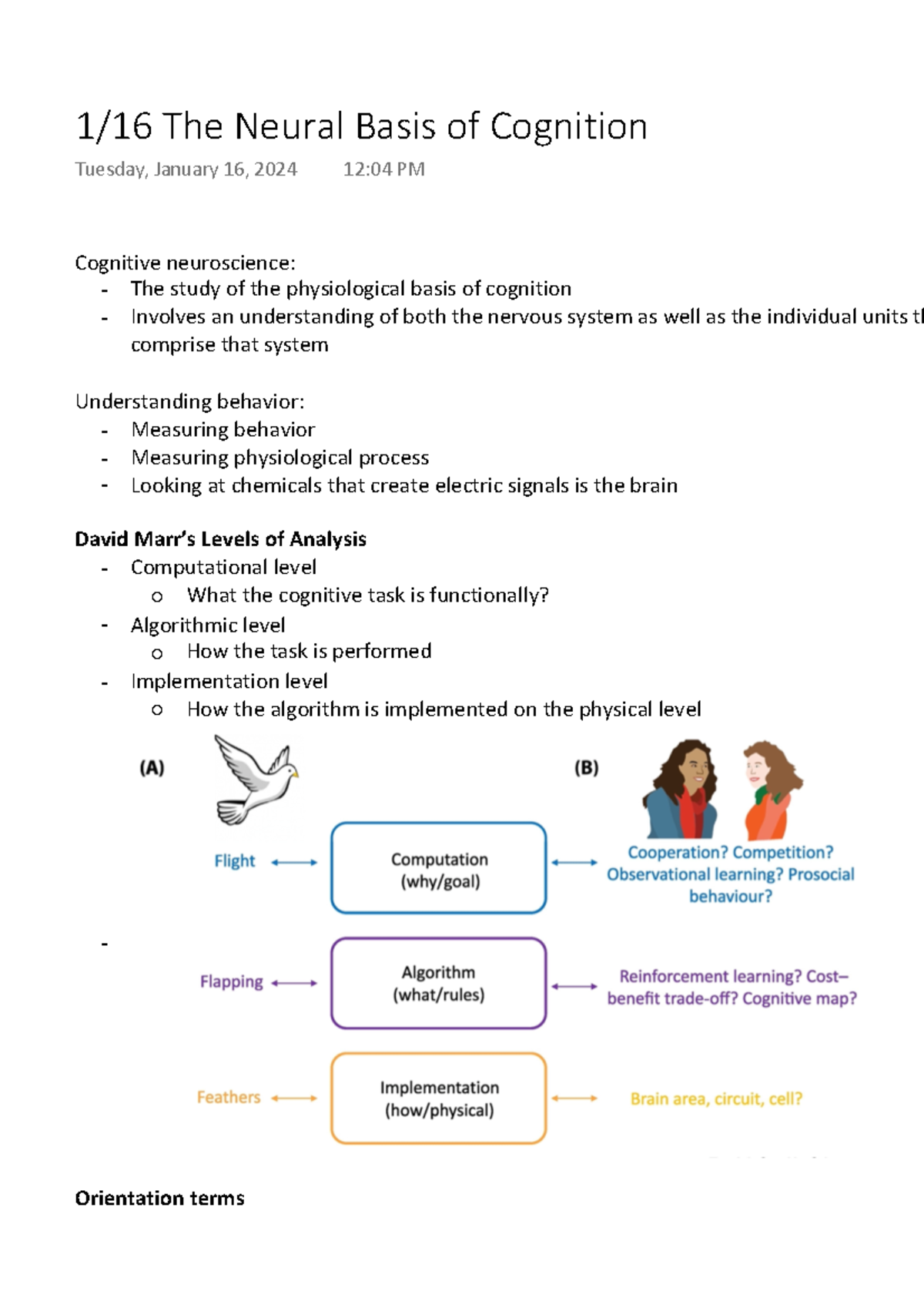 The Neural Basis of Cognition - Cognitive neuroscience: The study of ...