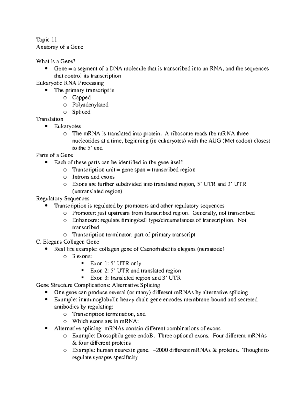 Topic 11 - Stephenson - Topic 11 Anatomy of a Gene What is a Gene? Gene ...