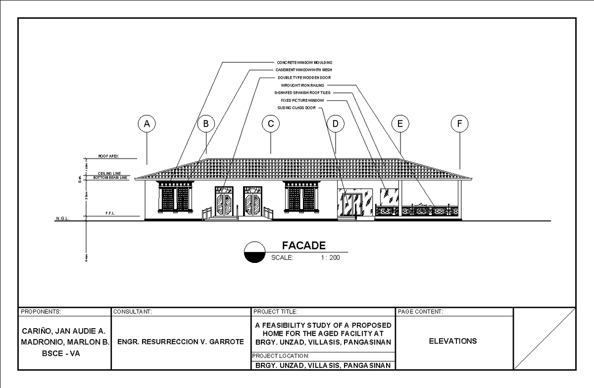 Feasib revised 2 - assignment - CONSULTANT: PROJECT TITLE: PAGE CONTENT ...