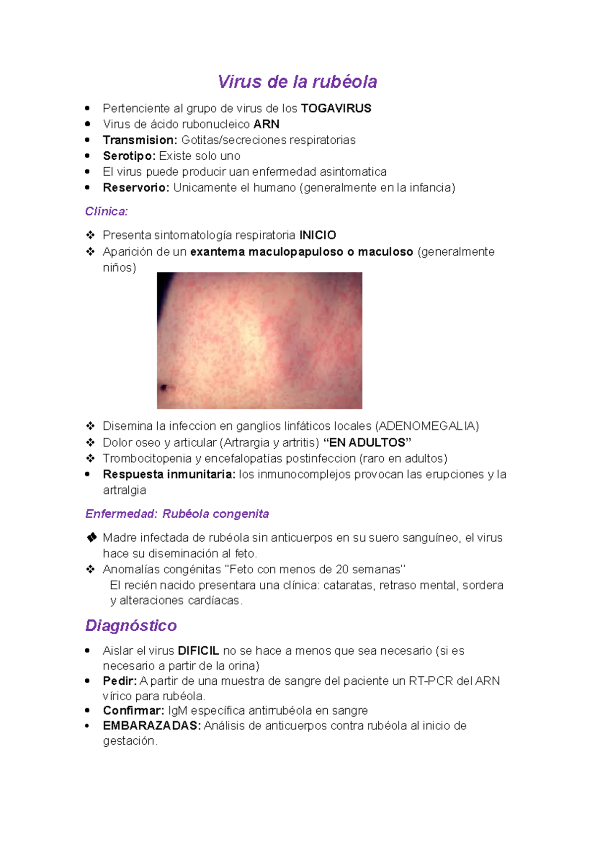 estructura del virus de la rubeola