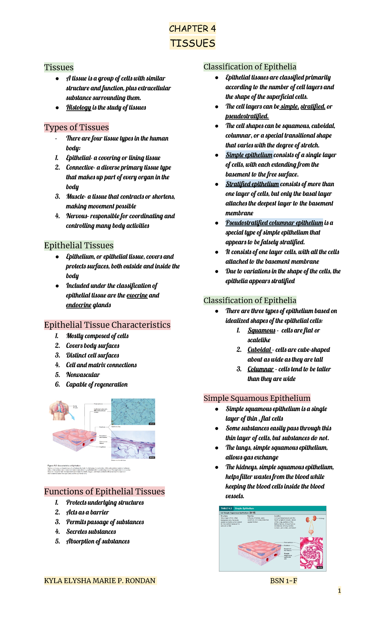 Anaphy Chapter 4 (1) - Serve As Reviewer - TISSUES Tissues A Tissu I ...