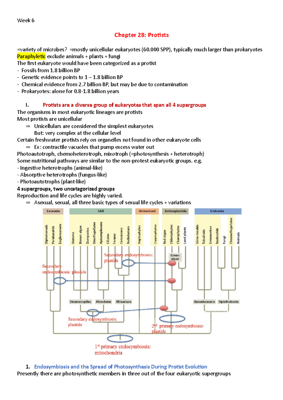 Chapter 25 and 28 - Chapter 28: Protists =variety of microbes? =mostly ...
