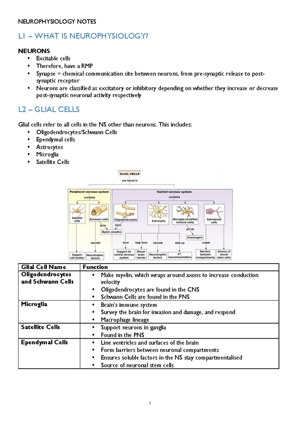 Neur30002 h1 92 notes - NEUROPHYSIOLOGY NOTES L1 – WHAT IS ...