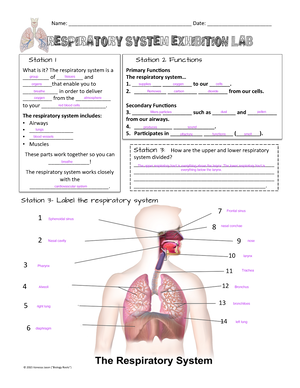 Melanoscope Diagram - dfsfdsfsdfsdf - Namibia is Seven, as opposed to ...