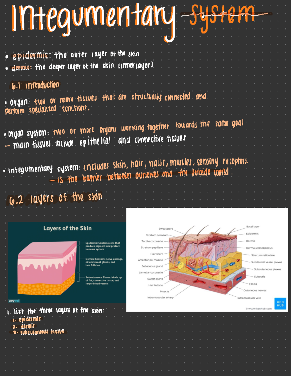 Integumentary system - Andrew Lloyd- BIO-011 - BIOL 011 - Studocu