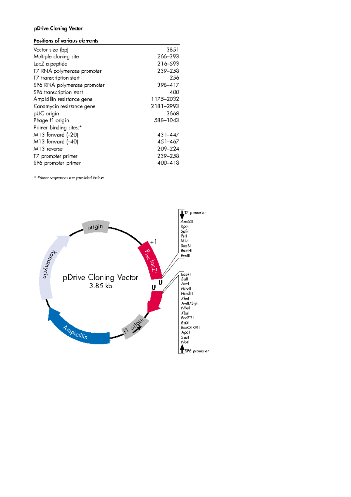 P Drive Cloning Vector Map EN - Positions of various elements Vector ...